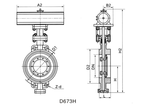 D673H.jpg